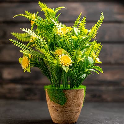 interior artificial plants