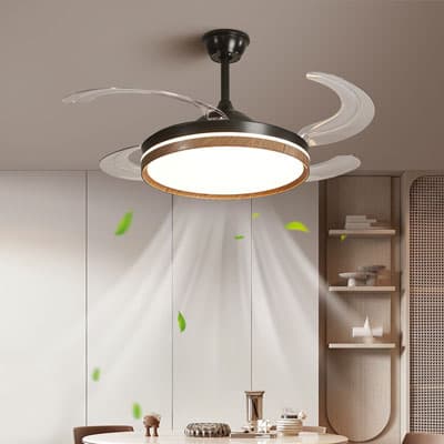 ceiling lights with fan