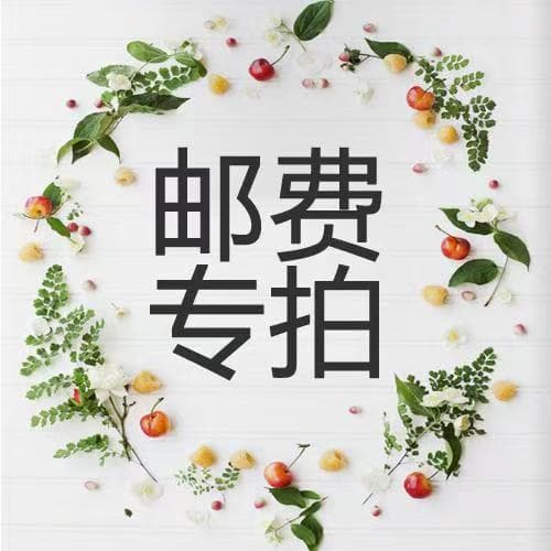 Express Delivery Fee, Logistics Fee, 1 Yuan Per Item, How Much the Difference Is, How Much to Pay for the Difference, Contact Customer Service, Anime Cartoon Breathable Waterproof Bag